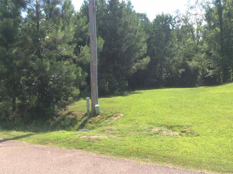 Vacant Land For Sale - 737 Forest Woods Drive<br/> Hinds County, Byram, MS 39272