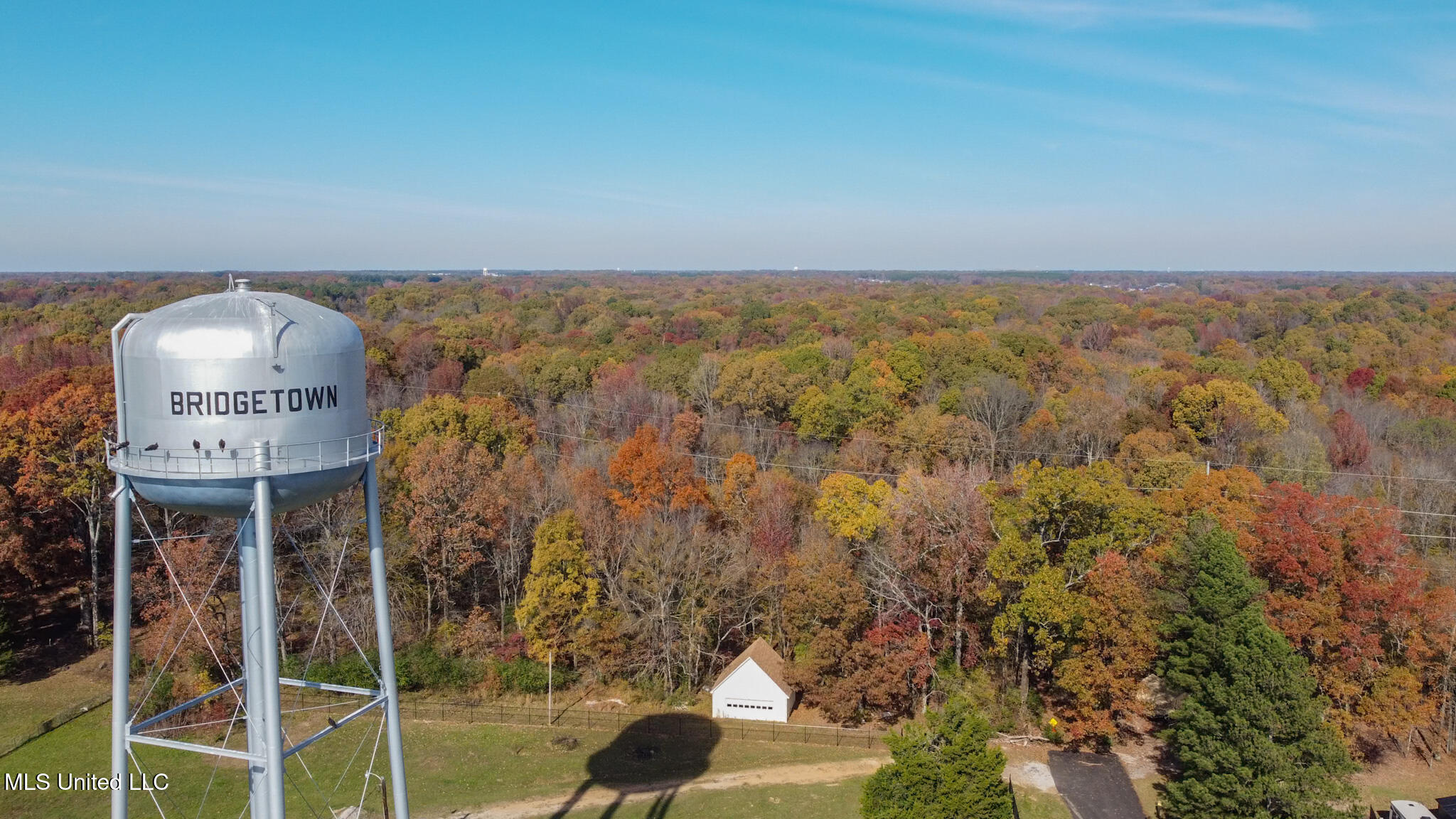 4040 Bienville Road, Nesbit, Mississippi image 3