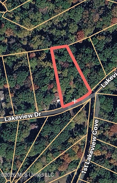 Vacant Land For Sale - 3 Lakeview Drive<br/> Hernando, MS 38632