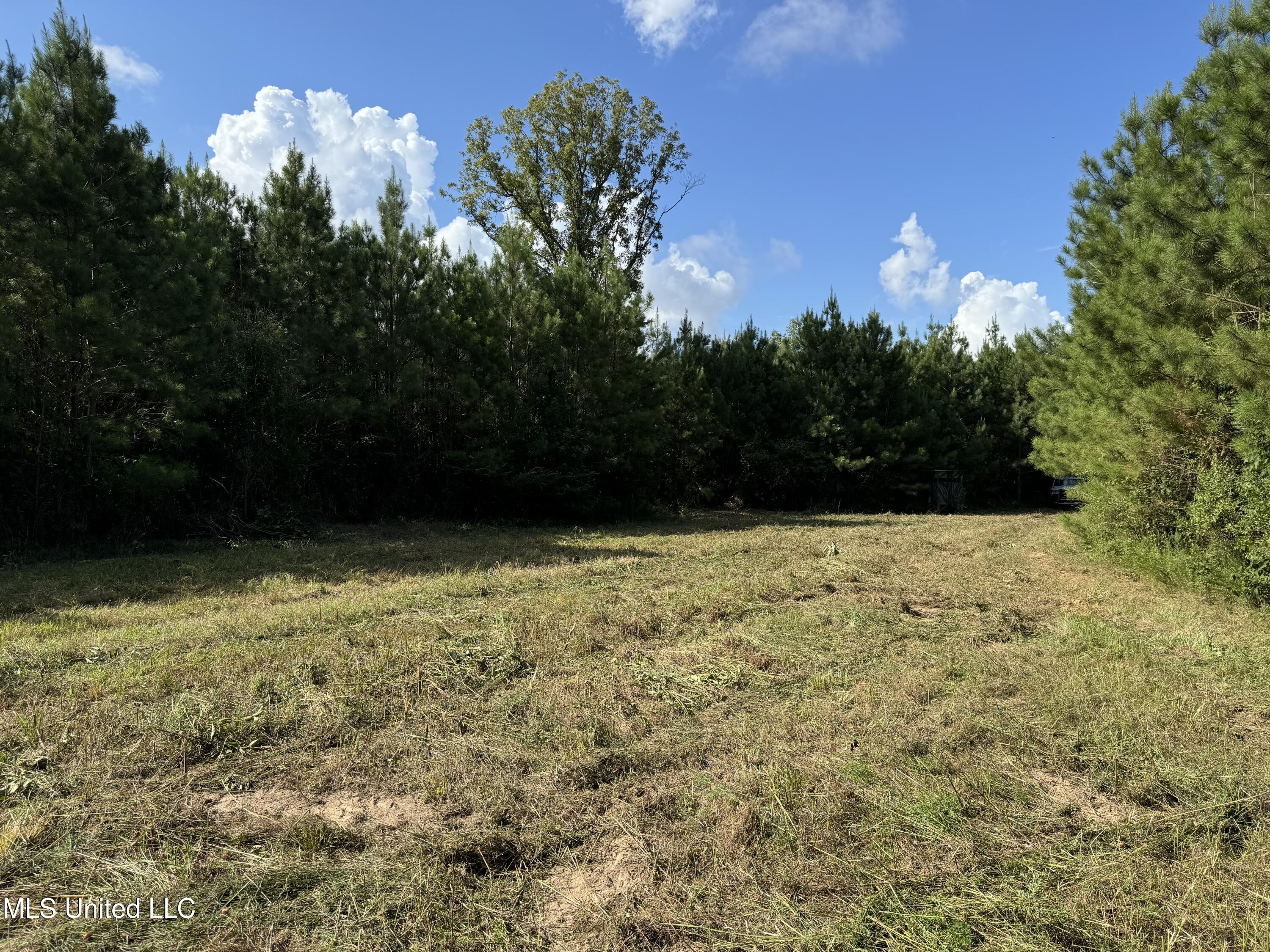 1365 SW Mickle Smith Trail, Bogue Chitto, Mississippi image 21