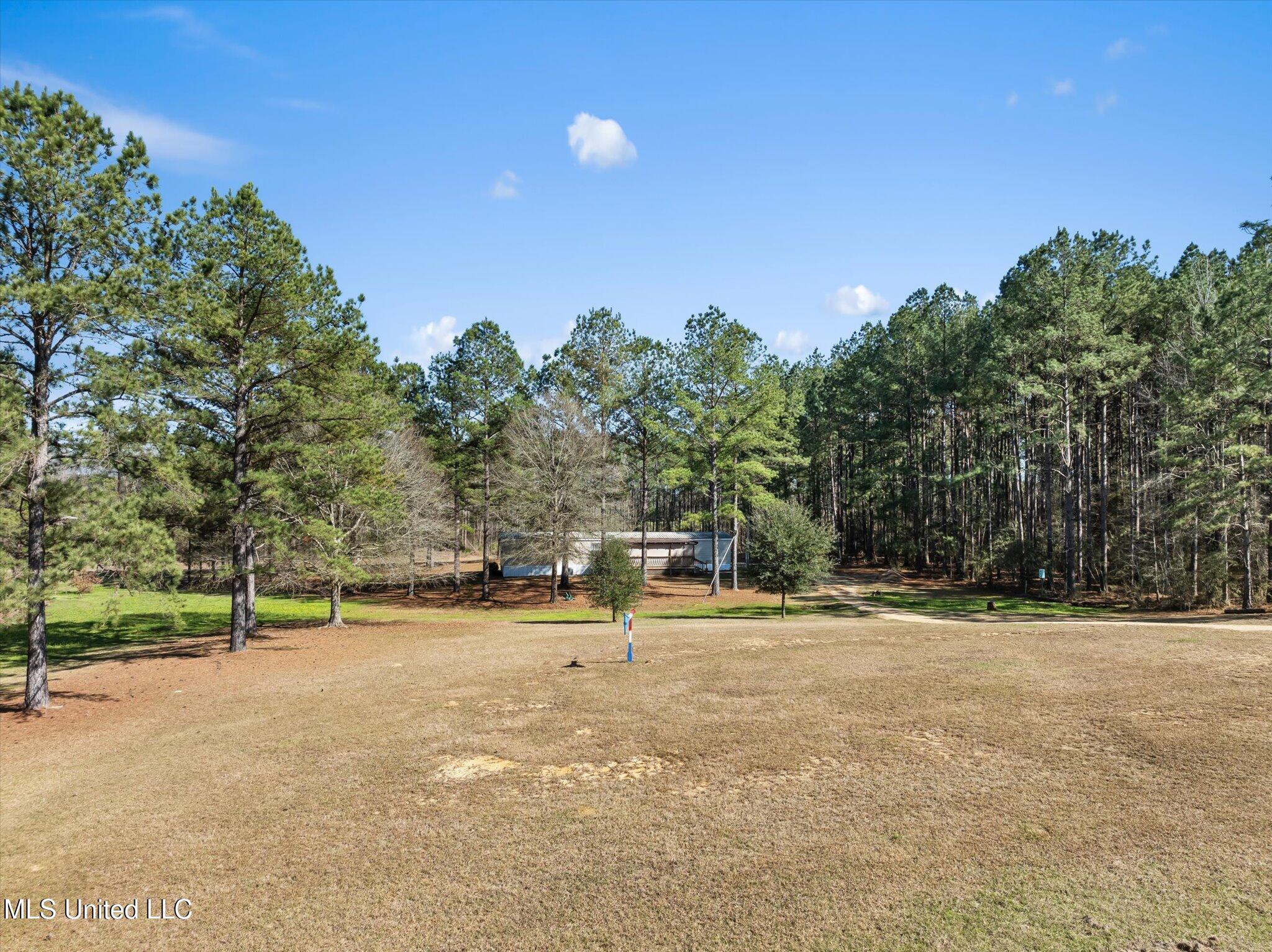 44 Pine Log Branch Road, Richton, Mississippi image 25