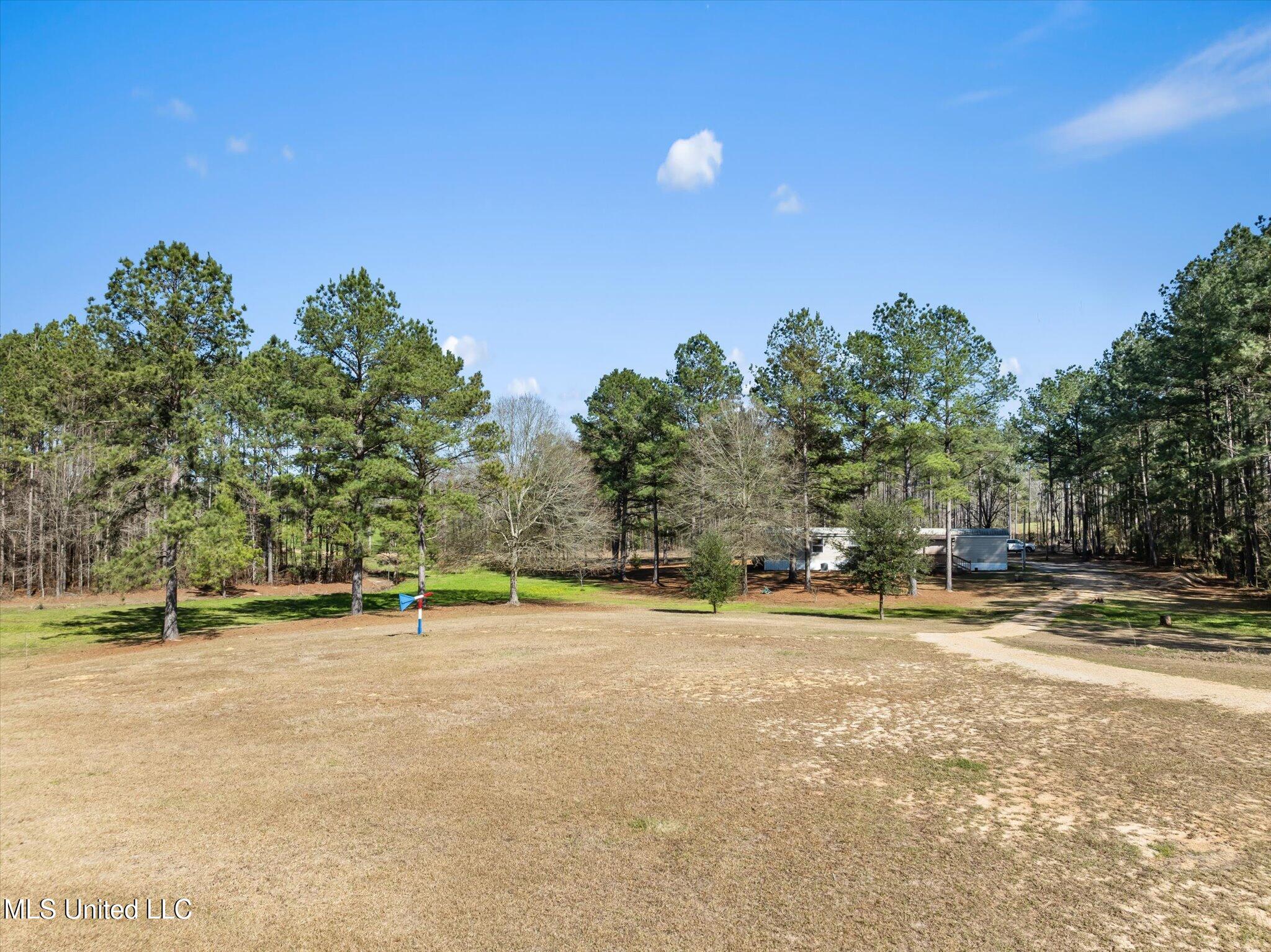 44 Pine Log Branch Road, Richton, Mississippi image 26