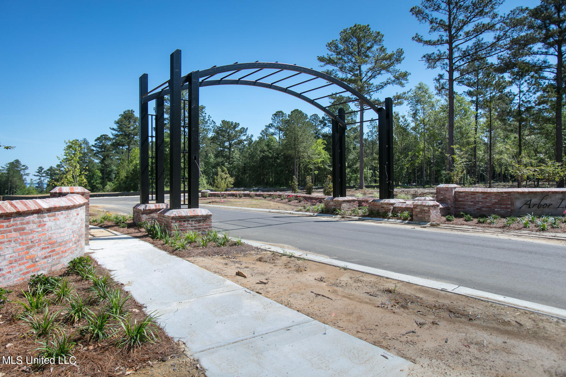 179 Crepe Myrtle Drive, Brandon, Mississippi image 3