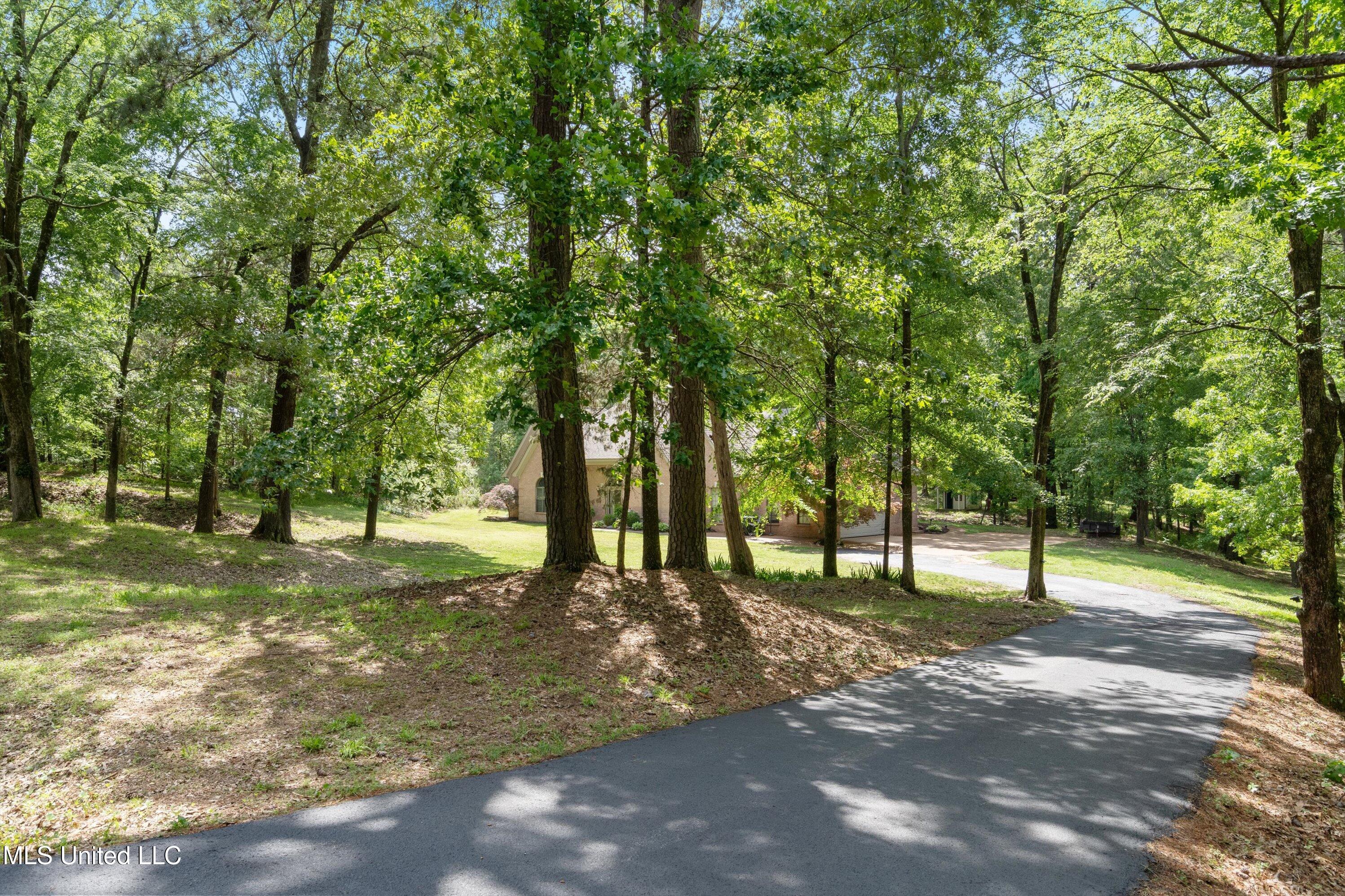 5135 Windy Ridge Drive, Southaven, Mississippi image 37