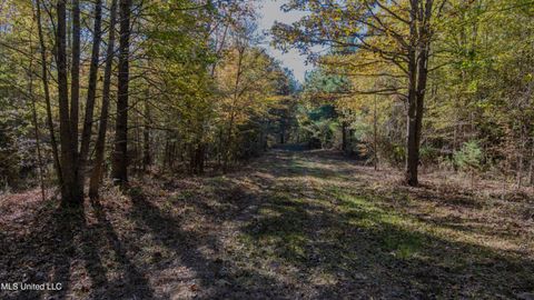 Vacant Land For Sale - 16098 Emory Rd Rd<br/> West, MS 39192