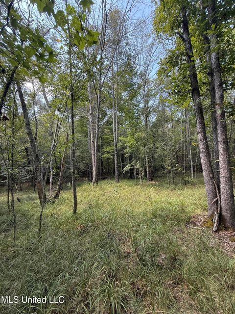 Vacant Land For Sale - 4920 Wiggins Loop Road<br/> Leake County, Carthage, MS 39051