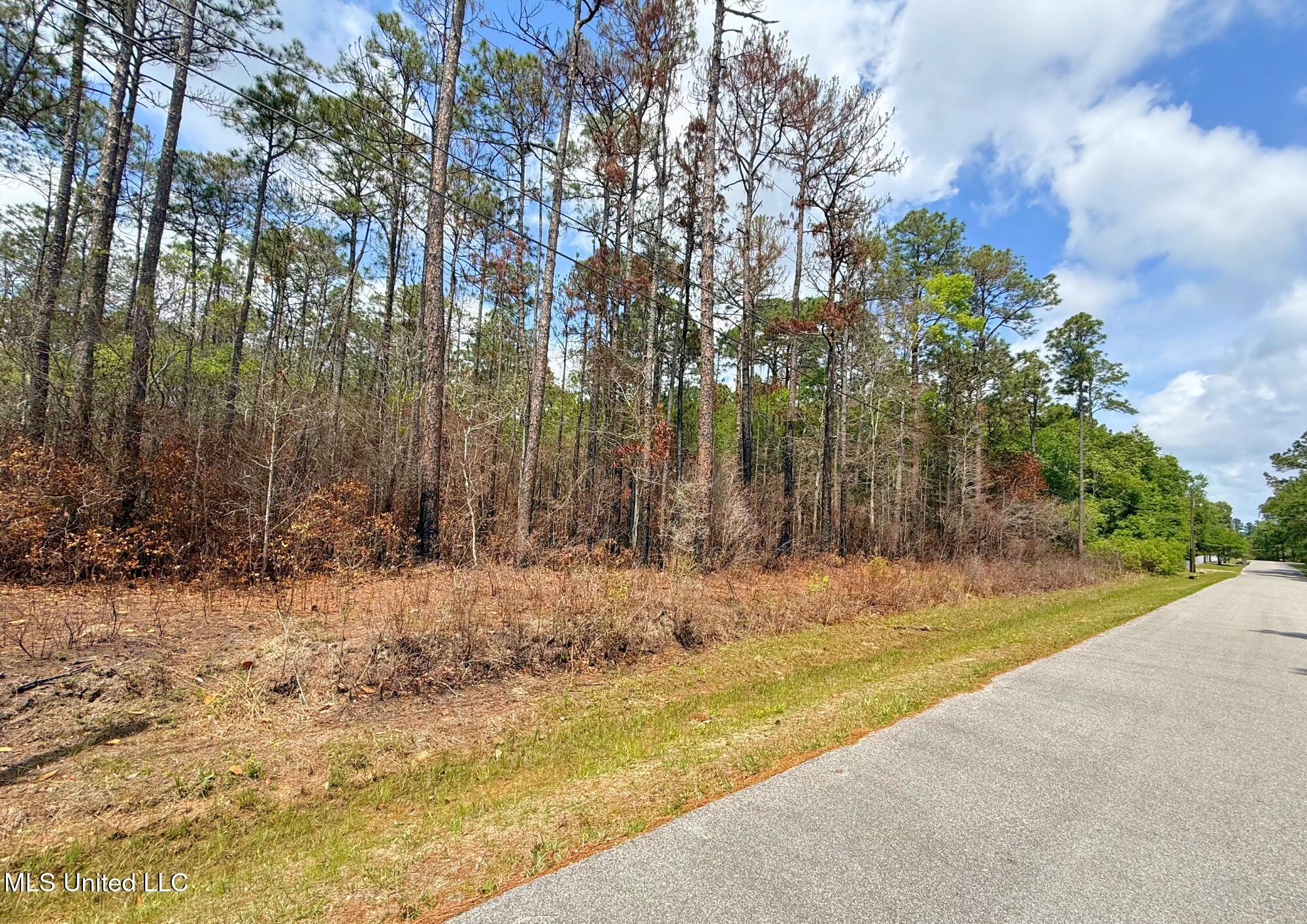 Phil Davis Road, Ocean Springs, Mississippi image 3