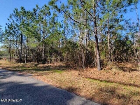 Vacant Land For Sale - Wolf Street<br/> Waveland, MS 39576