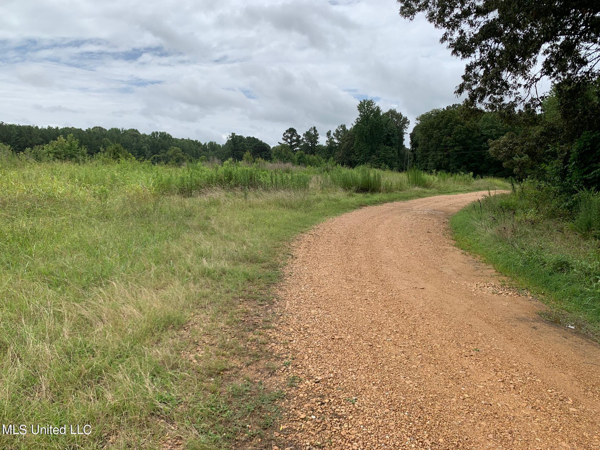 Arkabutla Road, Coldwater, Mississippi image 3