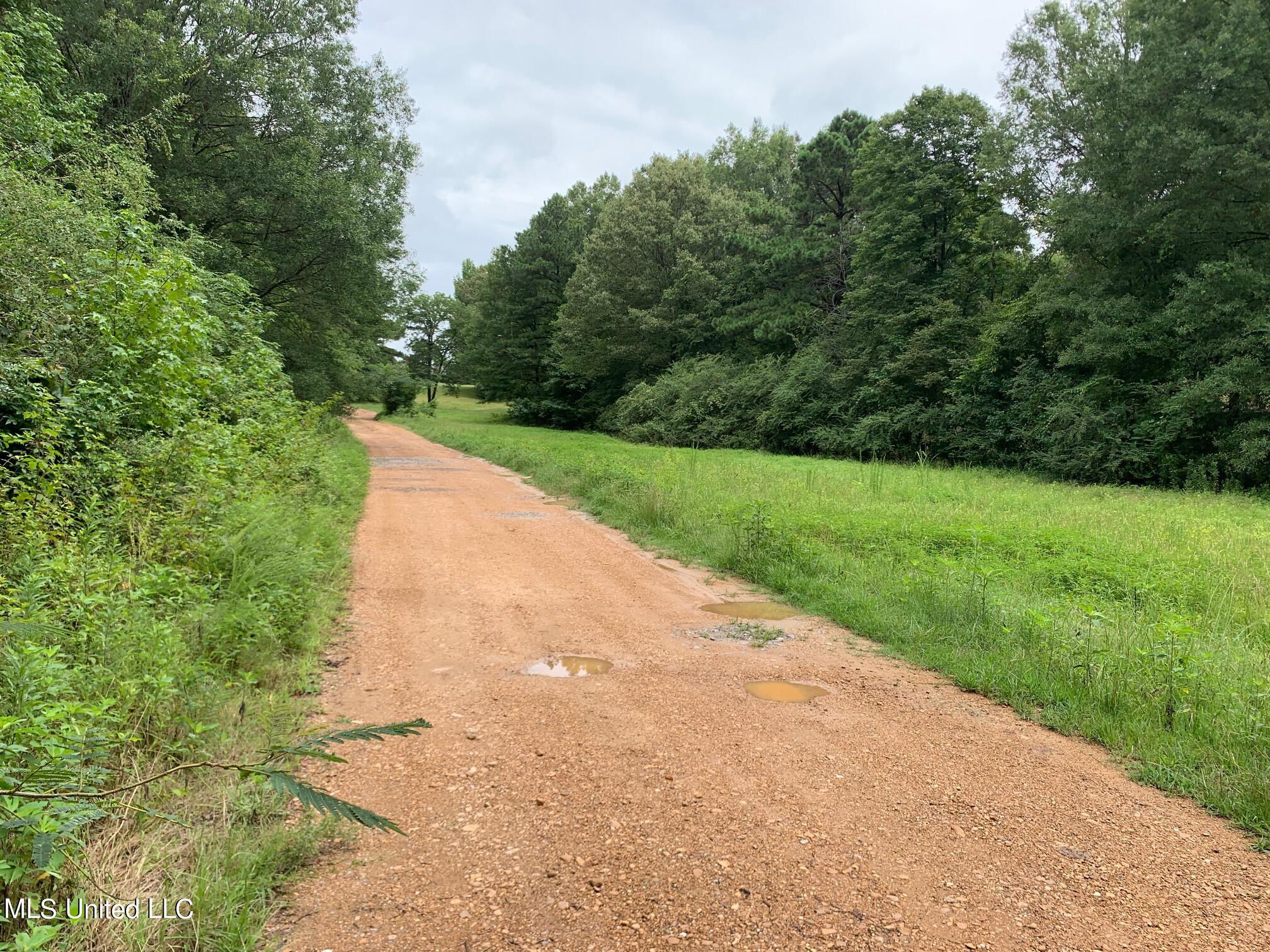 Arkabutla Road, Coldwater, Mississippi image 1