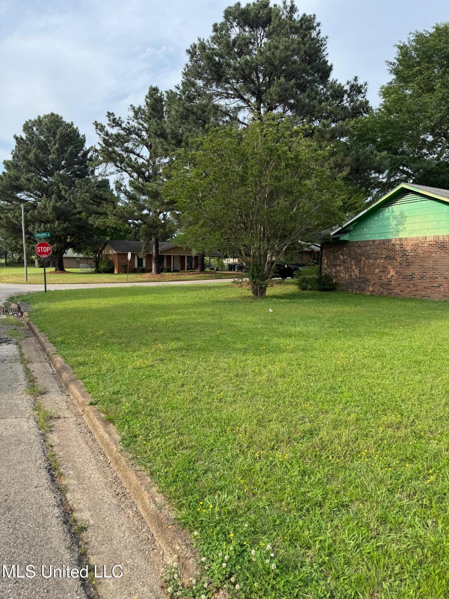 10373 Lafayette Drive, Olive Branch, Mississippi image 4
