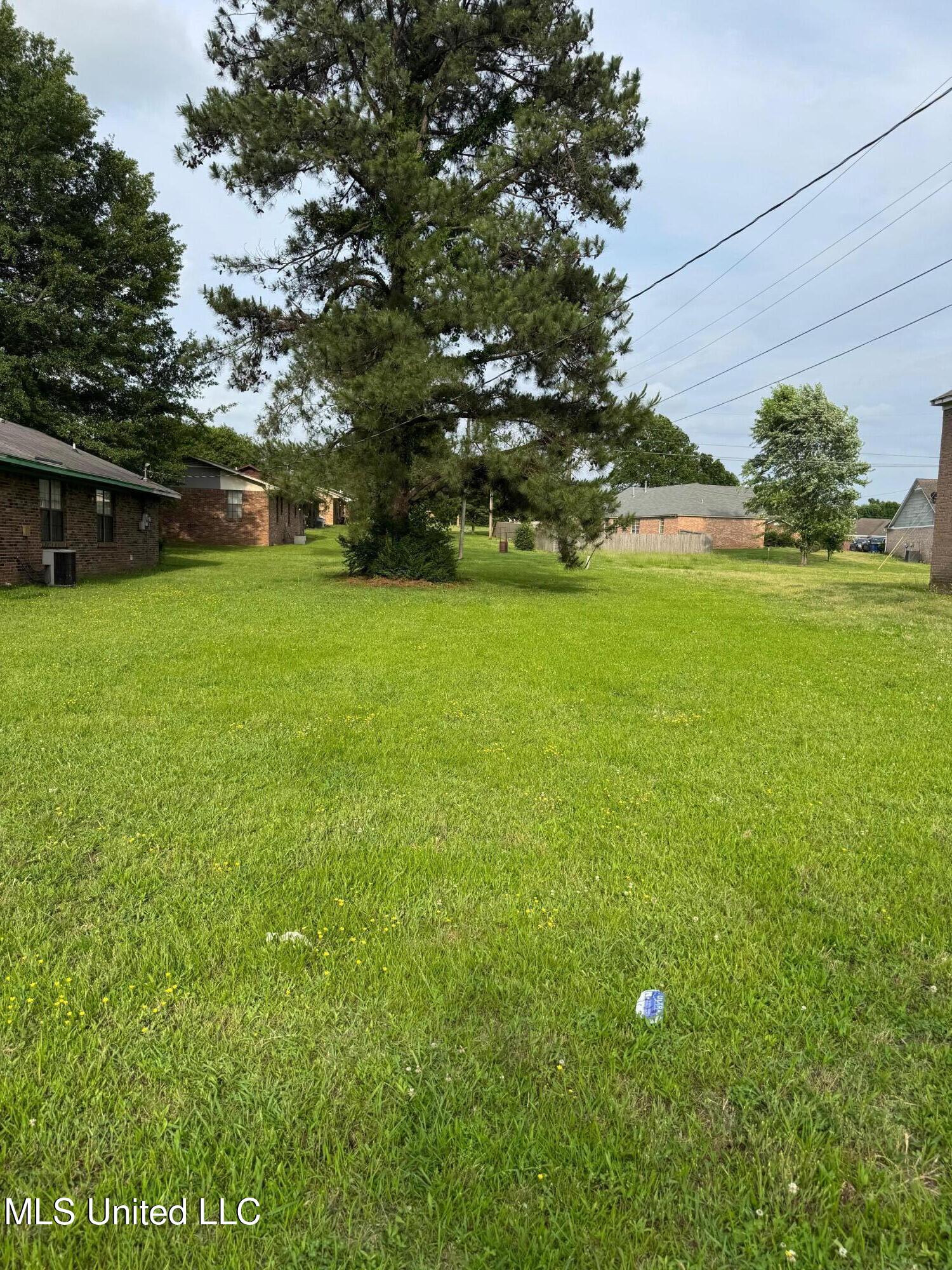 10373 Lafayette Drive, Olive Branch, Mississippi image 3