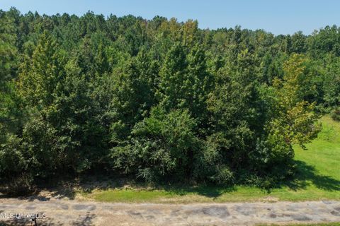 Vacant Land For Sale - Alfred Road<br/> Amite County, Liberty, MS 39645