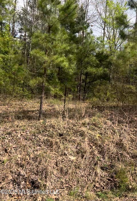 Vacant Land For Sale - LOT 6 Matthews Drive<br/> Byhalia, MS 38611