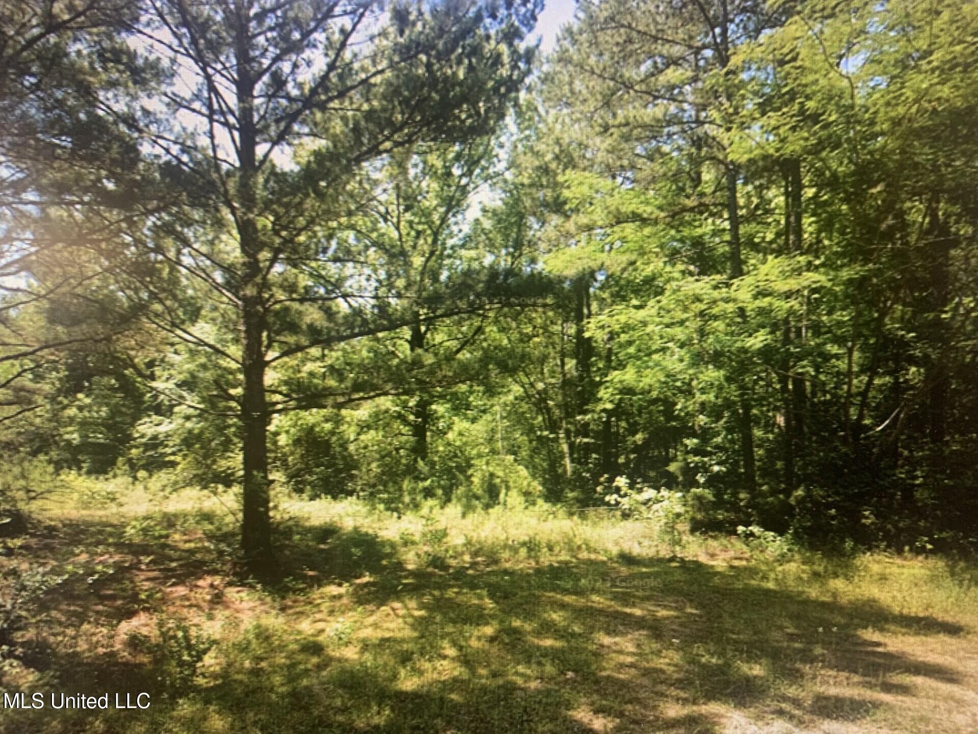 1127 NW California Road, Brookhaven, Mississippi image 1