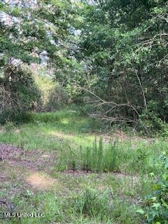 1127 NW California Road, Brookhaven, Mississippi image 11