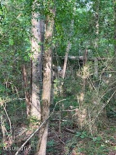 1127 NW California Road, Brookhaven, Mississippi image 8