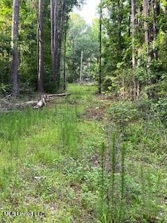 1127 NW California Road, Brookhaven, Mississippi image 3