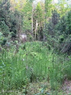 1127 NW California Road, Brookhaven, Mississippi image 6