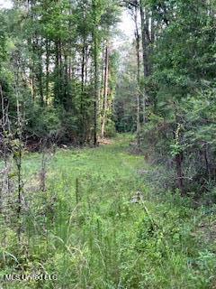 1127 NW California Road, Brookhaven, Mississippi image 5