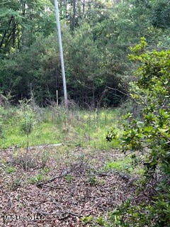 1127 NW California Road, Brookhaven, Mississippi image 9