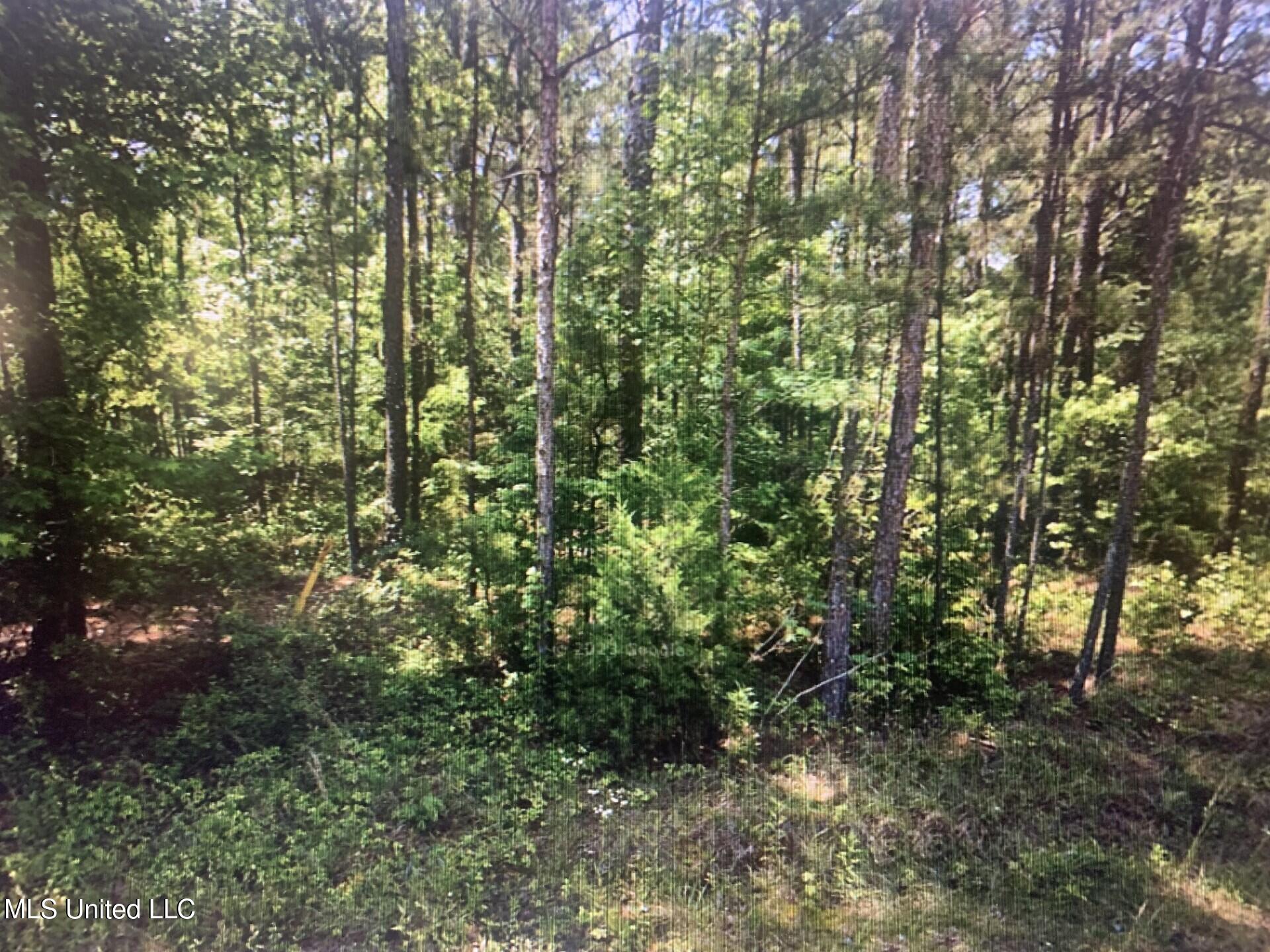 1127 NW California Road, Brookhaven, Mississippi image 2