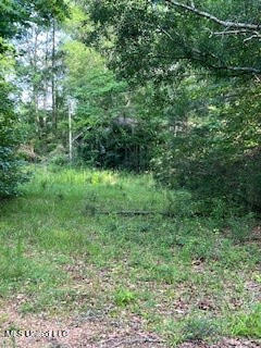 1127 NW California Road, Brookhaven, Mississippi image 10