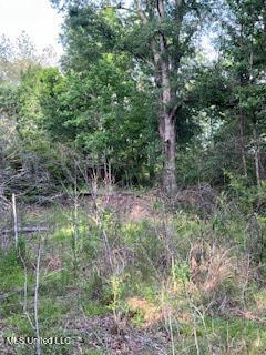 1127 NW California Road, Brookhaven, Mississippi image 4