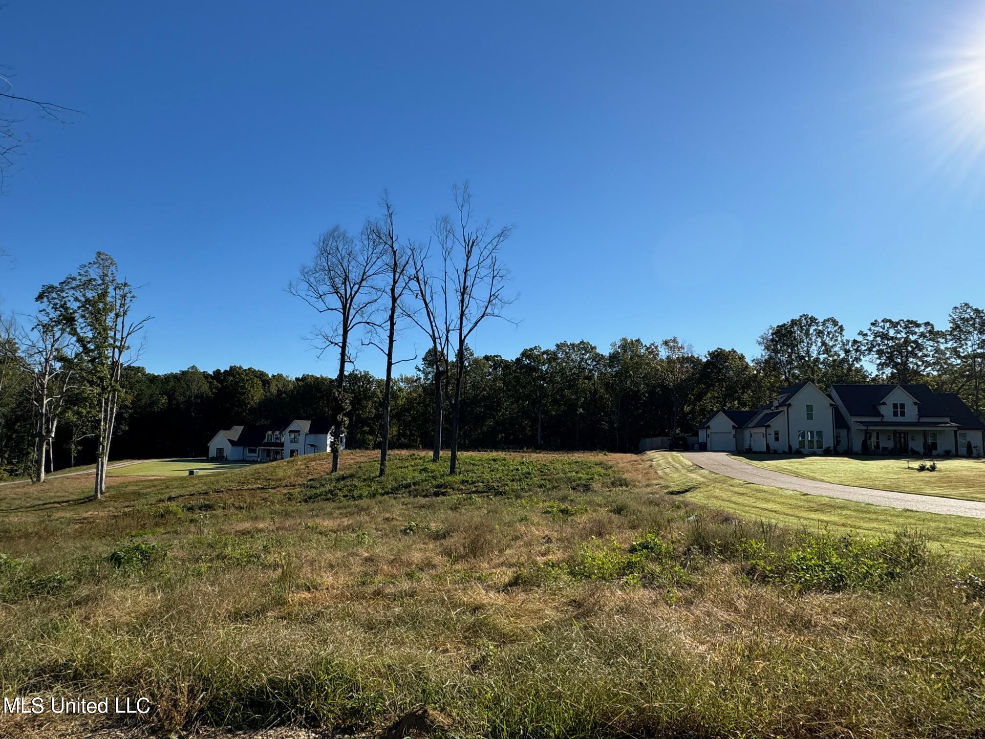 12 Highwoods Drive, Byhalia, Mississippi image 1