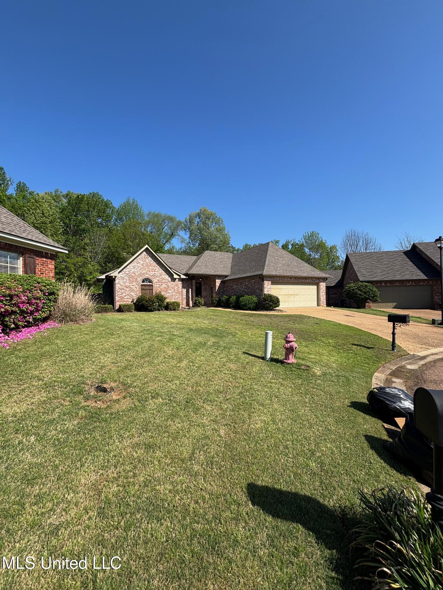 510 Pinebark Cove Cove, Brandon, Mississippi image 2