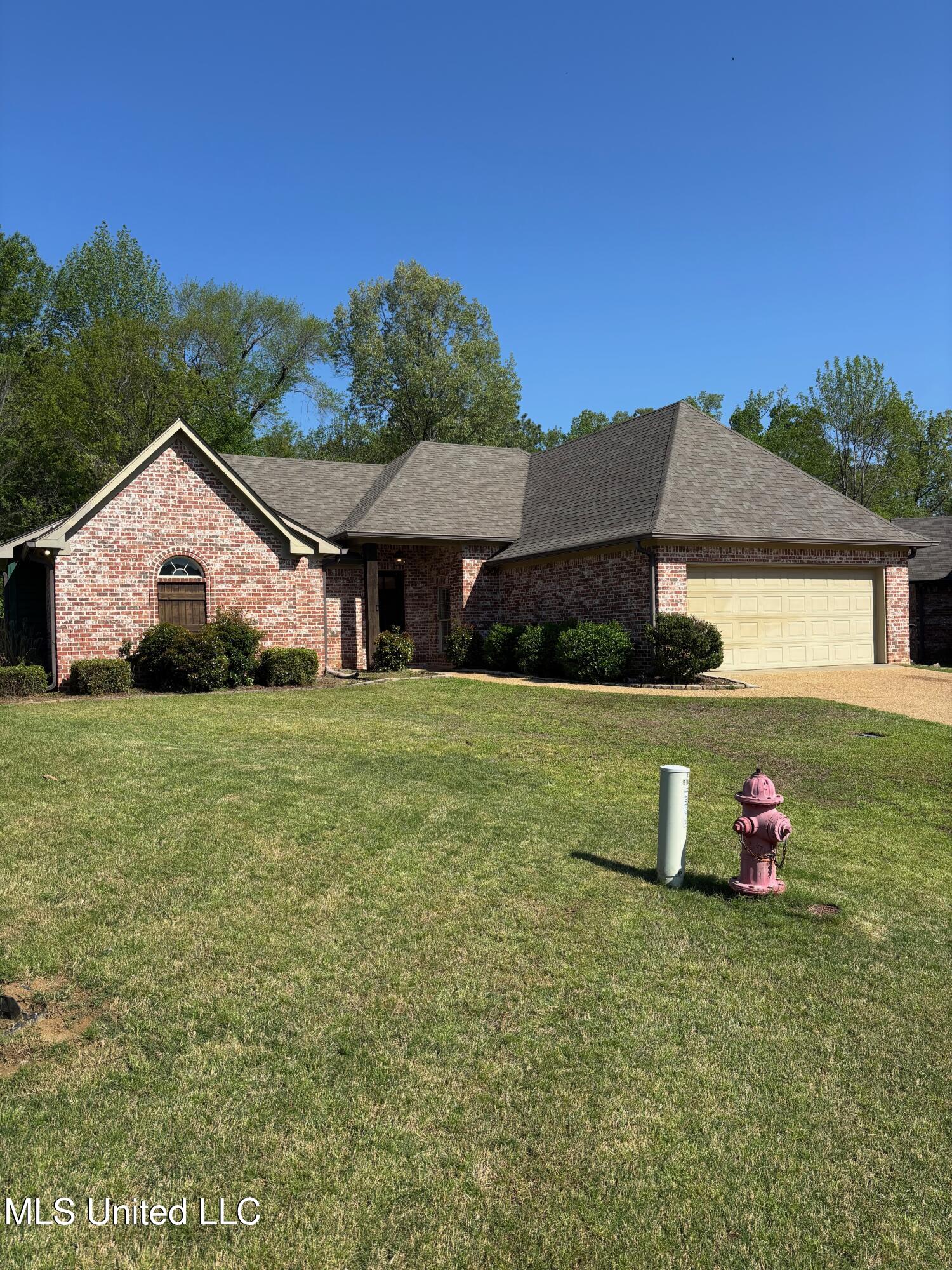 510 Pinebark Cove Cove, Brandon, Mississippi image 1