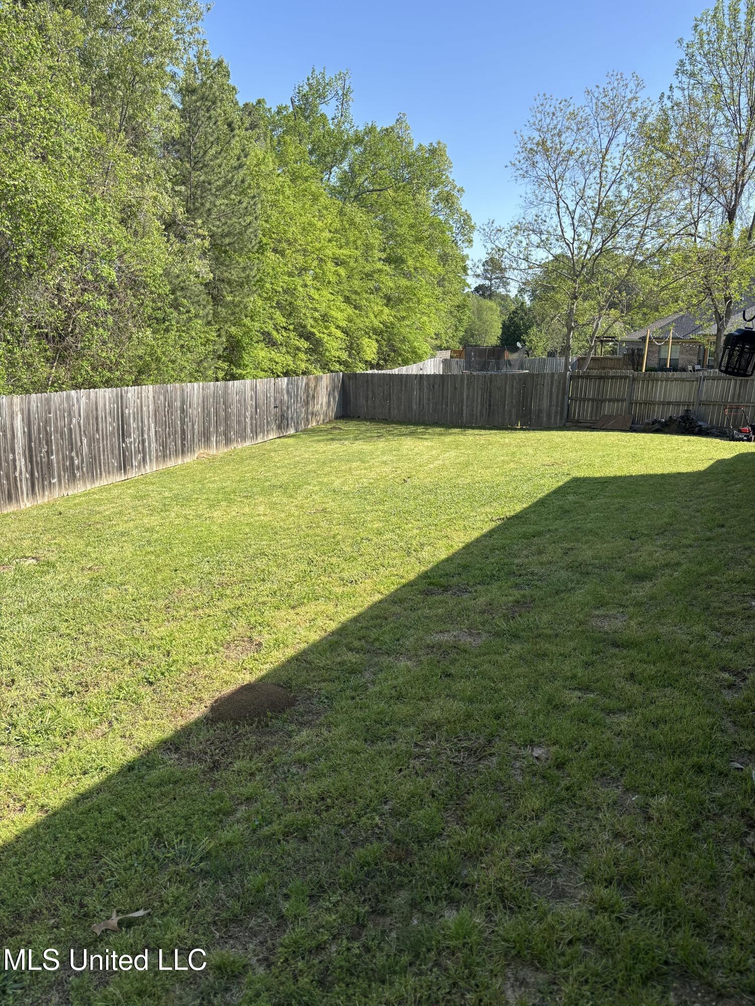 510 Pinebark Cove Cove, Brandon, Mississippi image 28