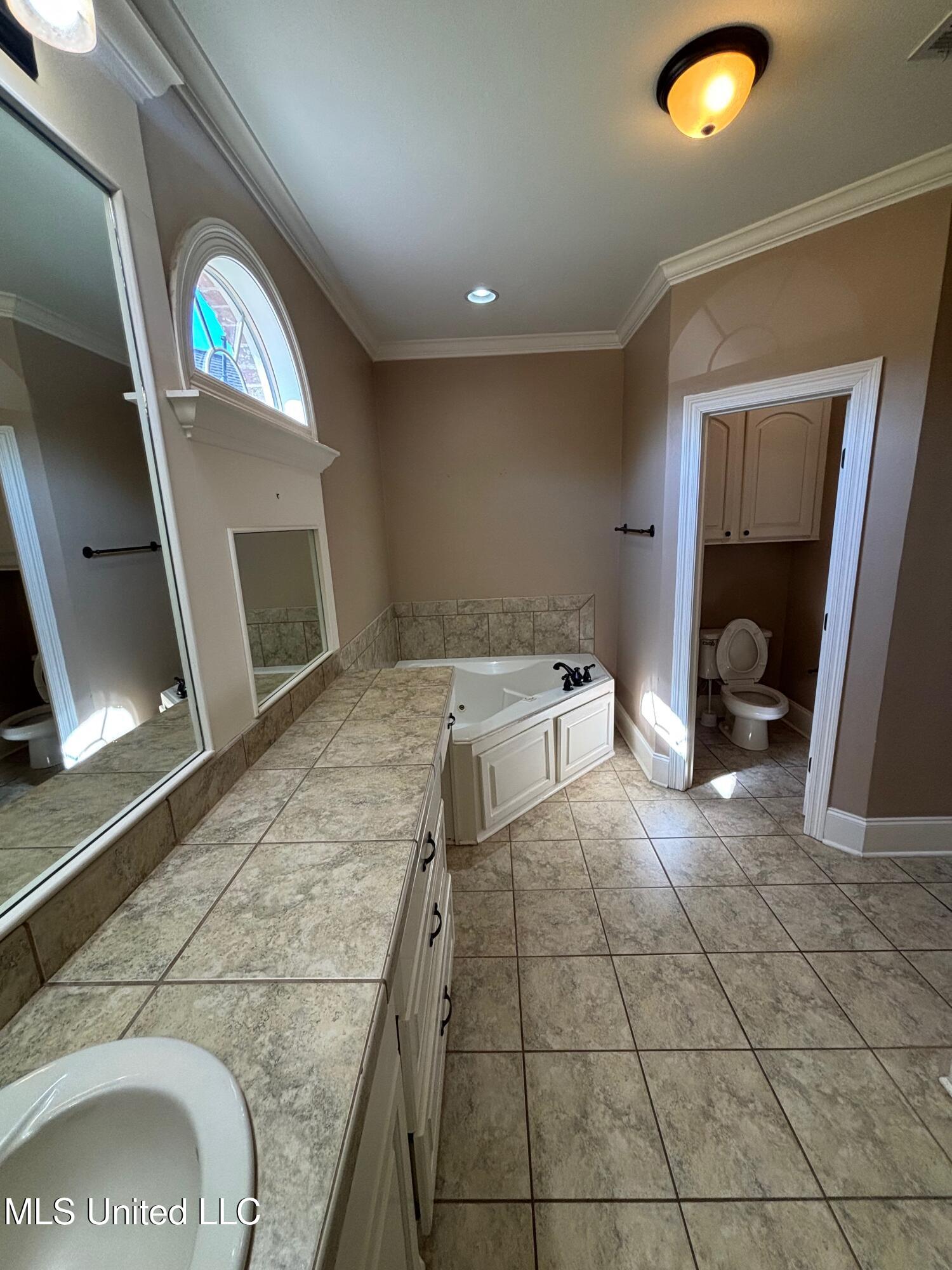510 Pinebark Cove Cove, Brandon, Mississippi image 13