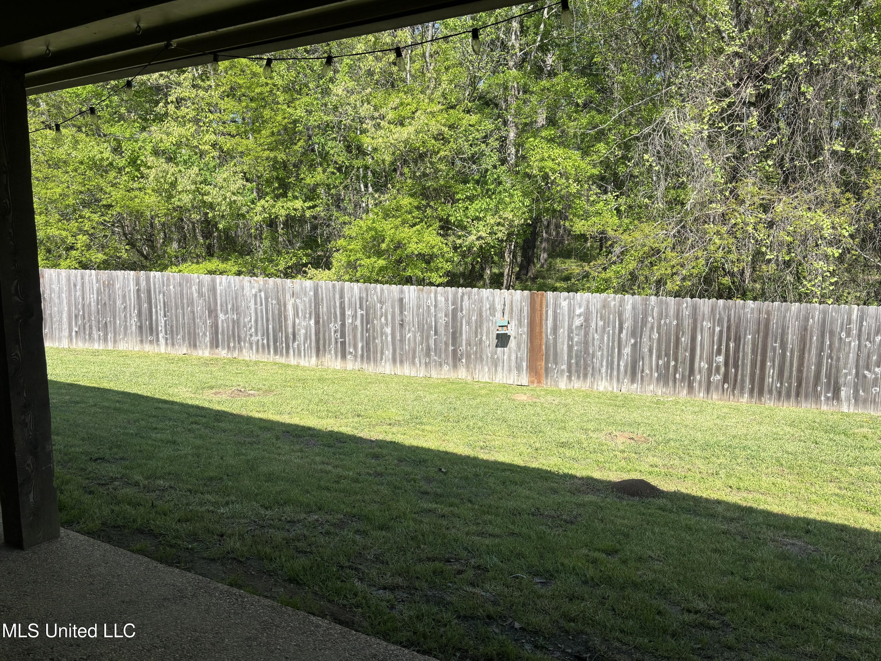 510 Pinebark Cove Cove, Brandon, Mississippi image 27