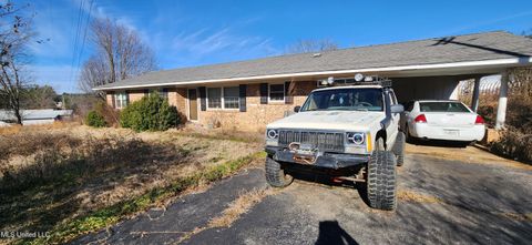 Homes For Sale - 28 County Road 243<br/> Tishomingo County, Iuka, MS 38852