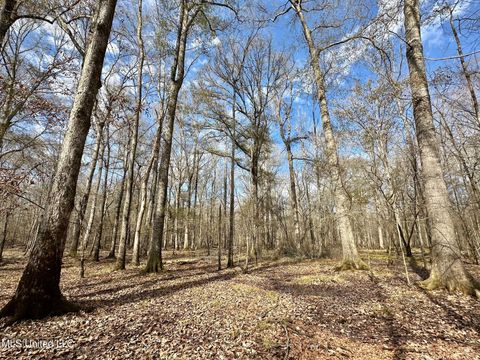 Vacant Land For Sale - 3 Evans Road<br/> Leake County, Carthage, MS 39051
