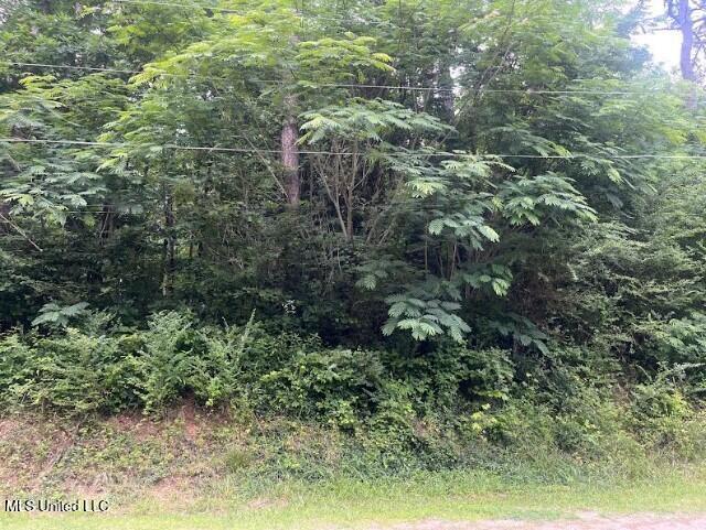 Hillside Drive, Potts Camp, Mississippi image 1