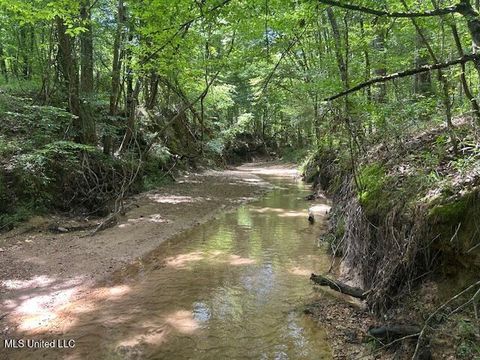 Vacant Land For Sale - 12371 Mcnair Road Nw<br/> Roxie, MS 39661
