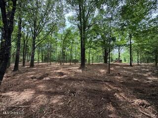 Red Banks Road, Holly Springs, Mississippi image 2
