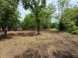 Red Banks Road, Holly Springs, Mississippi image 1