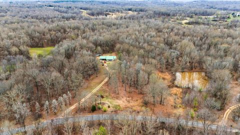 Vacant Land For Sale - 247 Sandy Branch Road<br/> Sarah, MS 38665