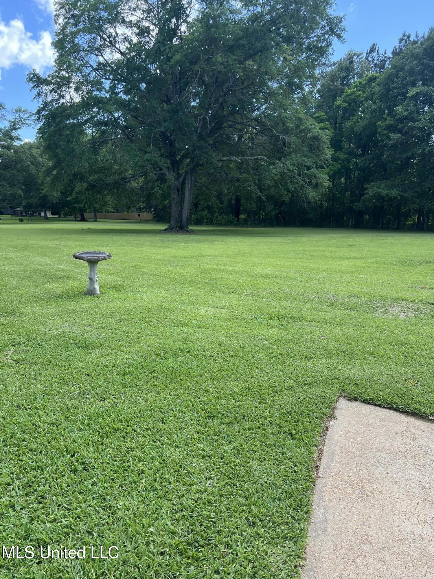 324 Bob White Drive, Canton, Mississippi image 5