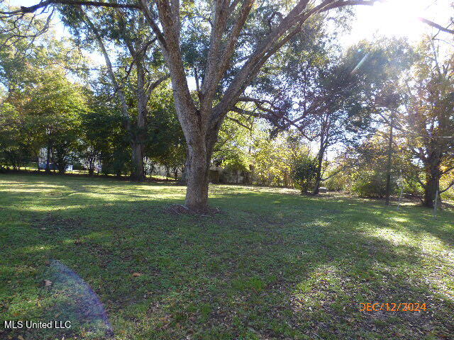 10 Reba Christian Road, Natchez, Mississippi image 5