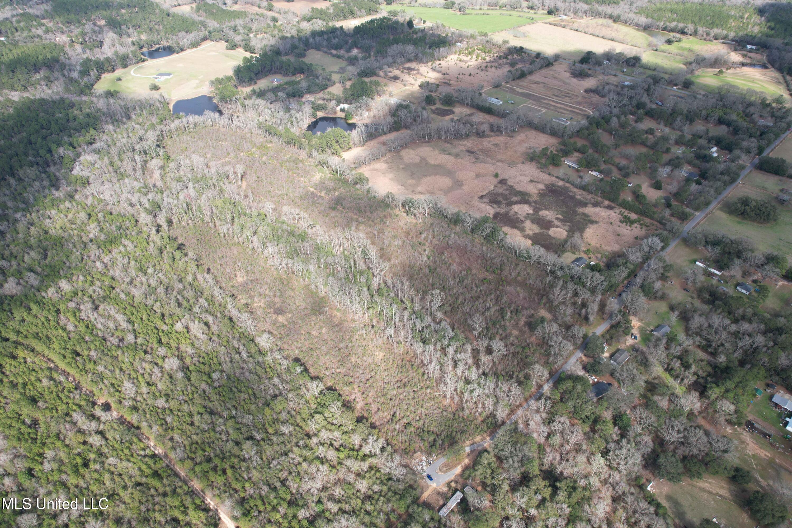 Roy Street Rd, Lucedale, Mississippi image 13