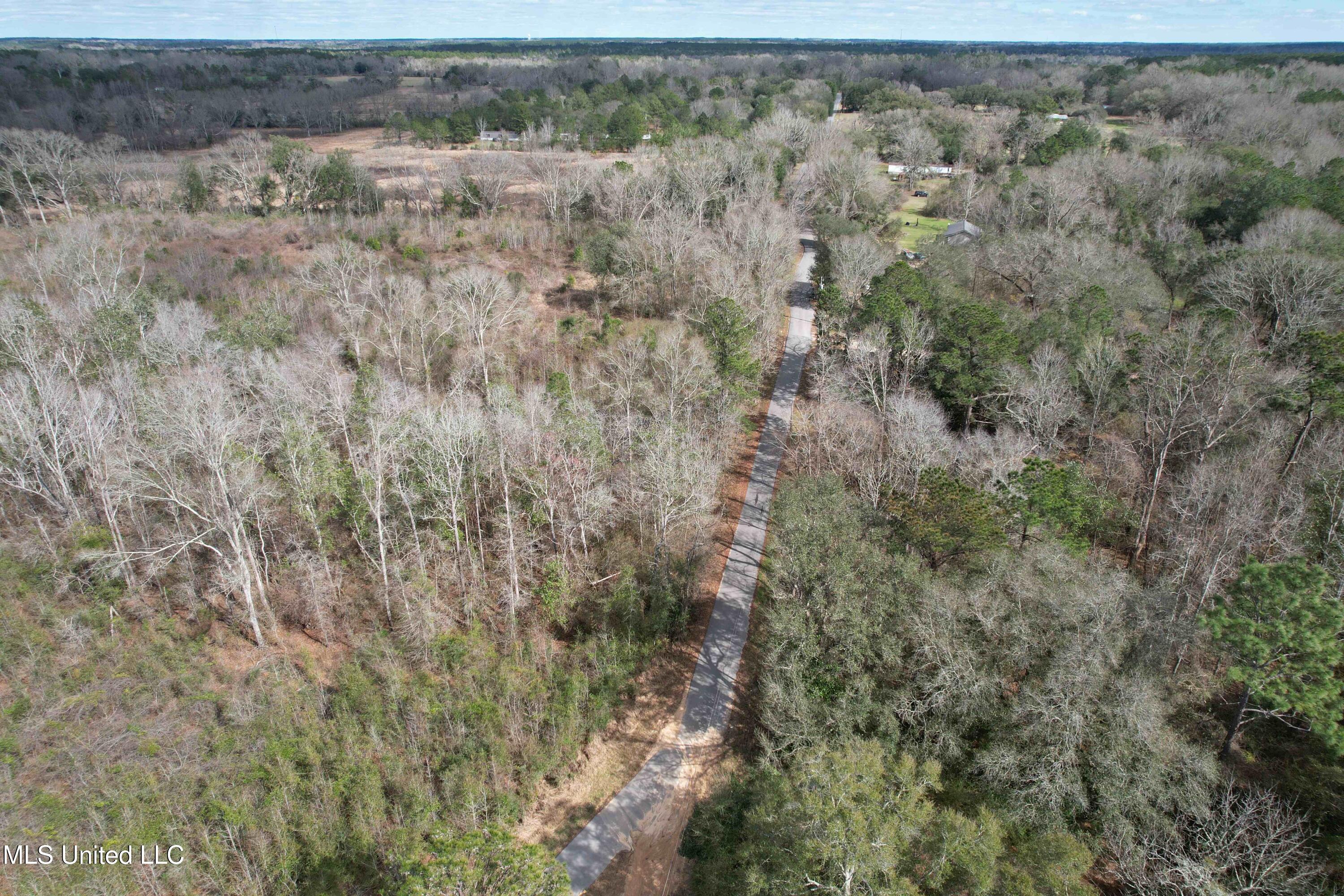 Roy Street Rd, Lucedale, Mississippi image 22