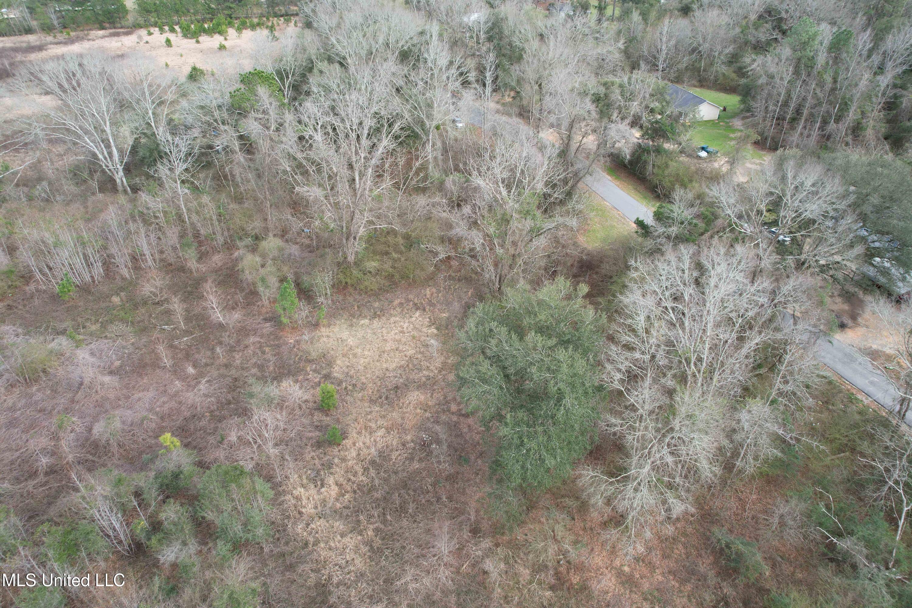 Roy Street Rd, Lucedale, Mississippi image 20