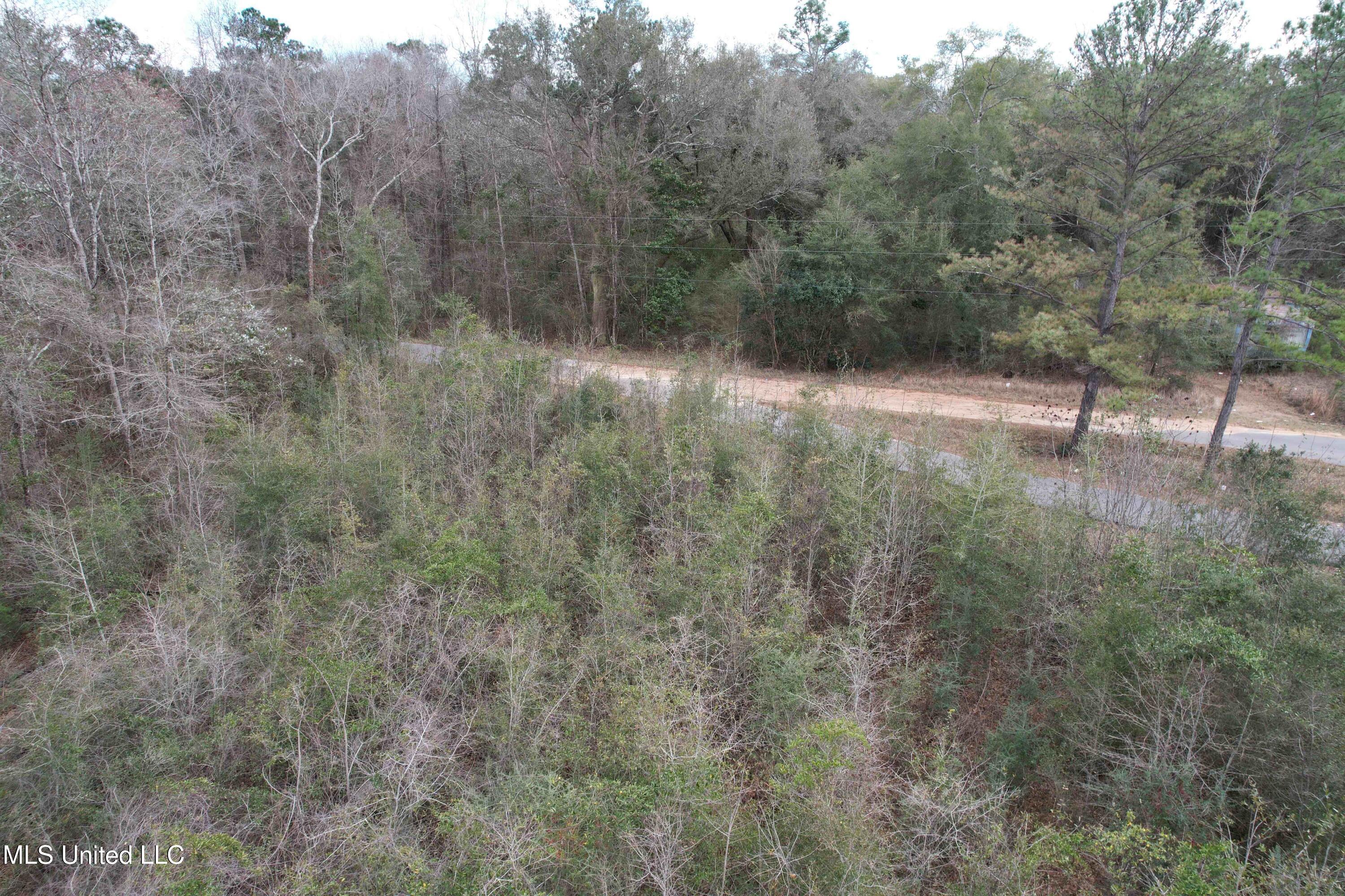Roy Street Rd, Lucedale, Mississippi image 19