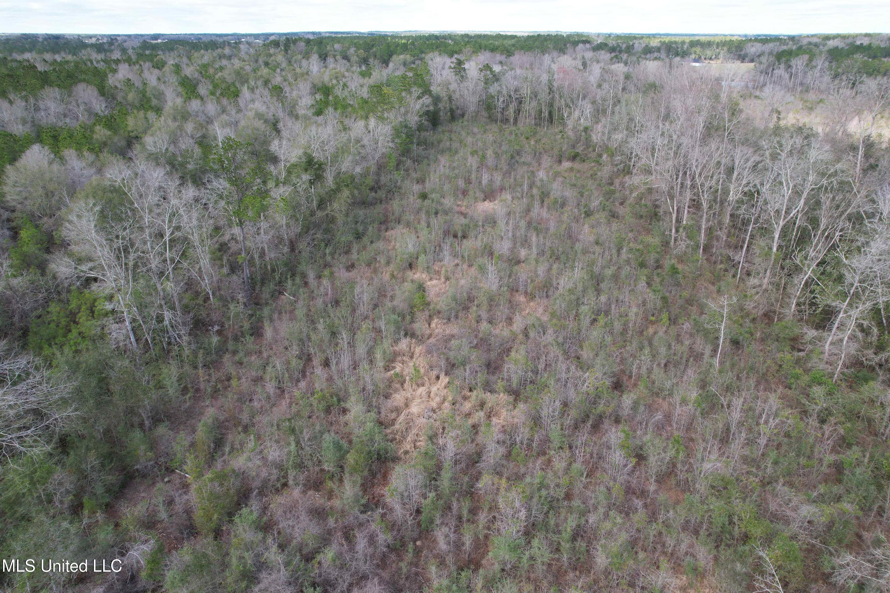 Roy Street Rd, Lucedale, Mississippi image 14
