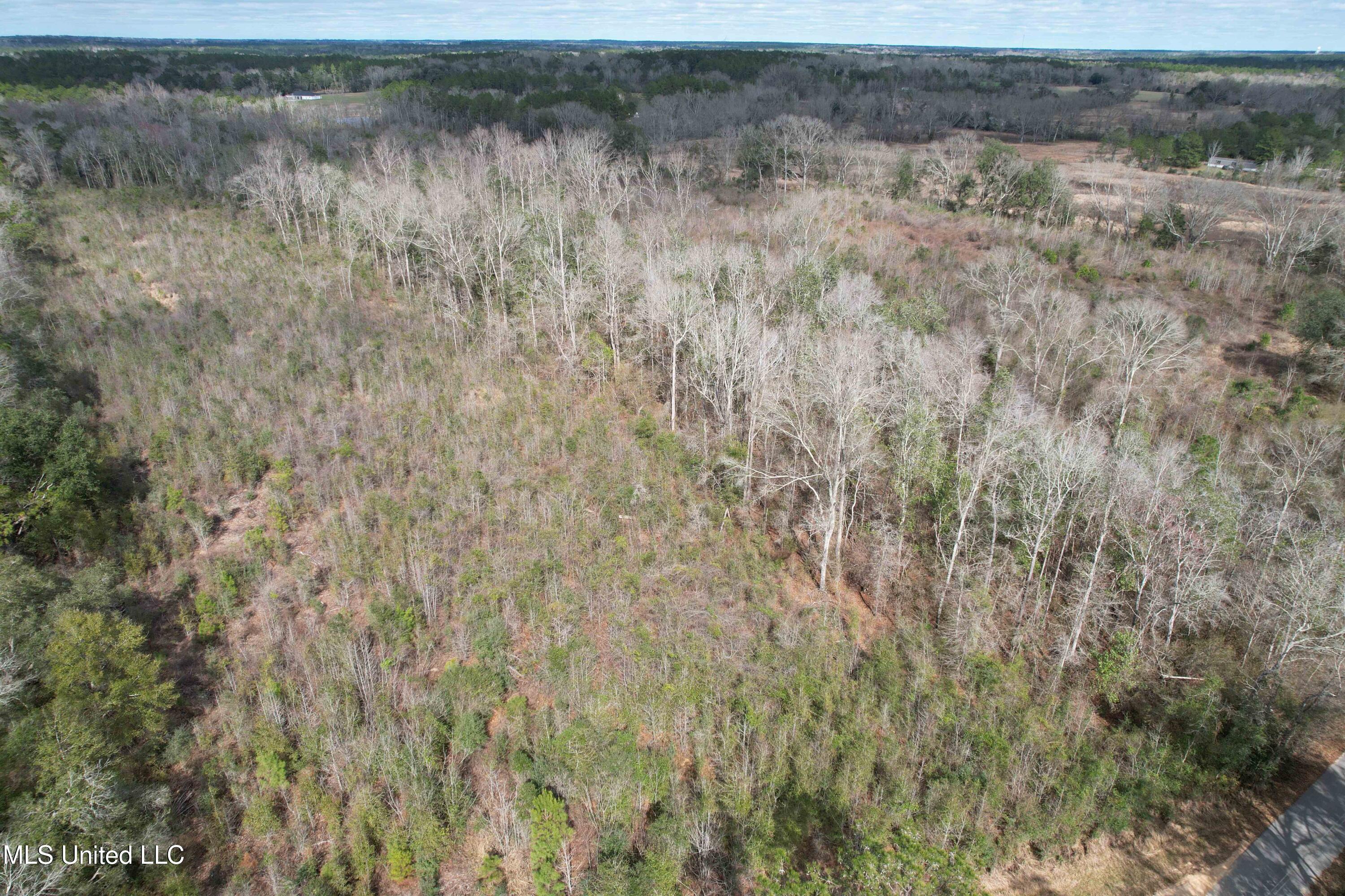 Roy Street Rd, Lucedale, Mississippi image 5