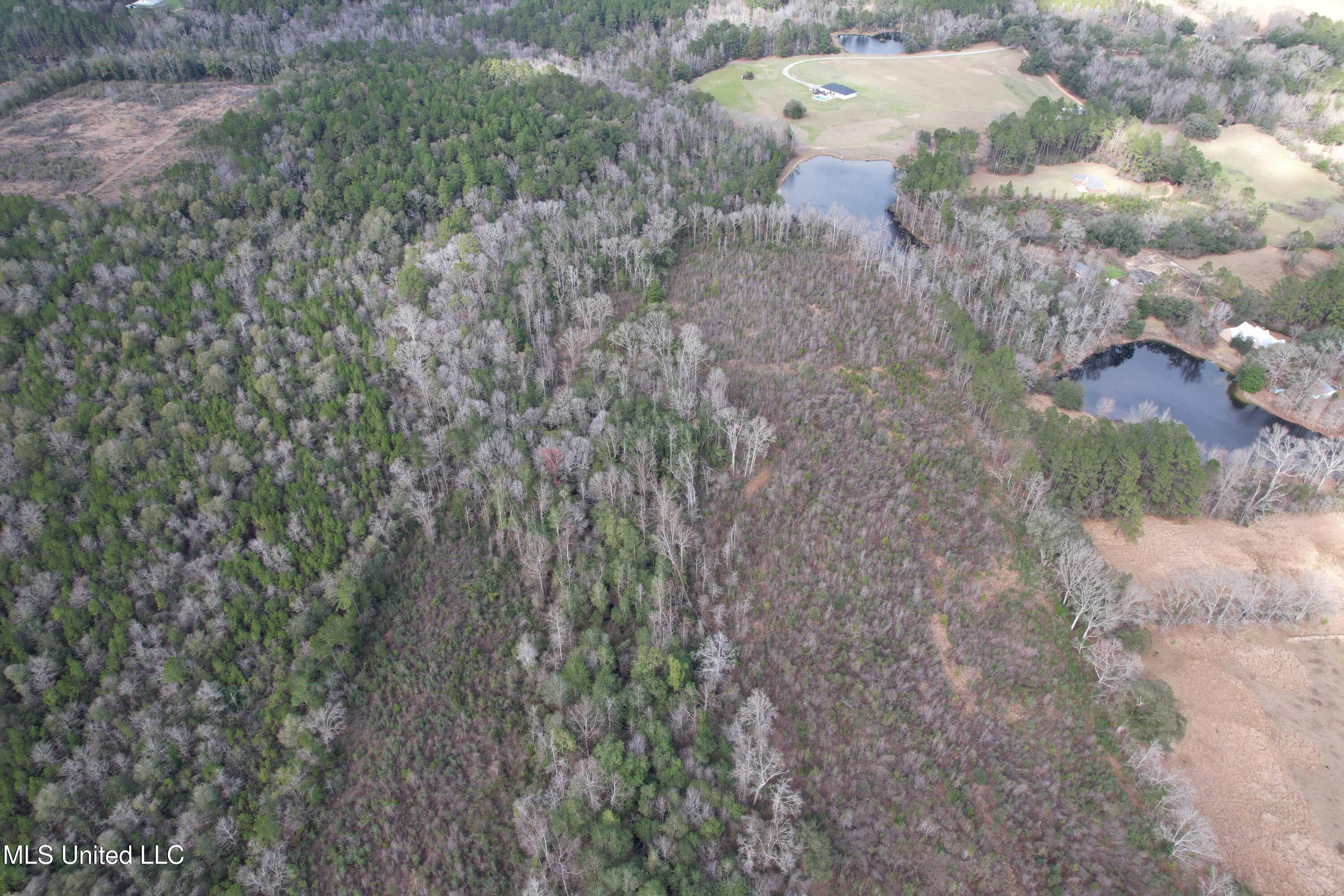 Roy Street Rd, Lucedale, Mississippi image 10